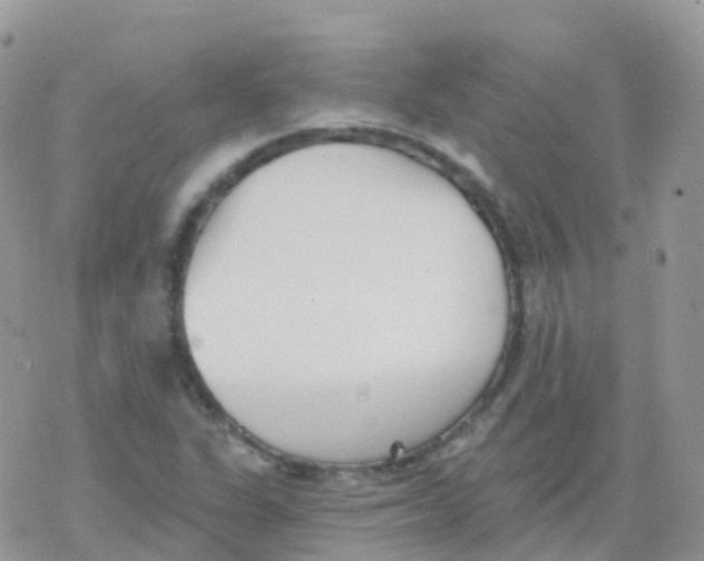 X0000078311311200611251523