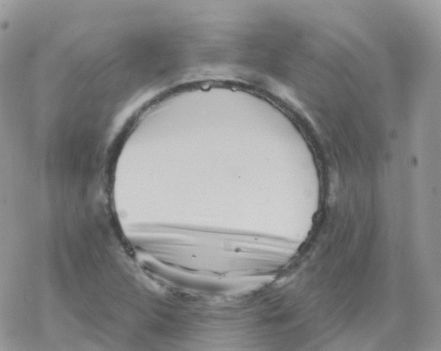 X0000078311312200611251523