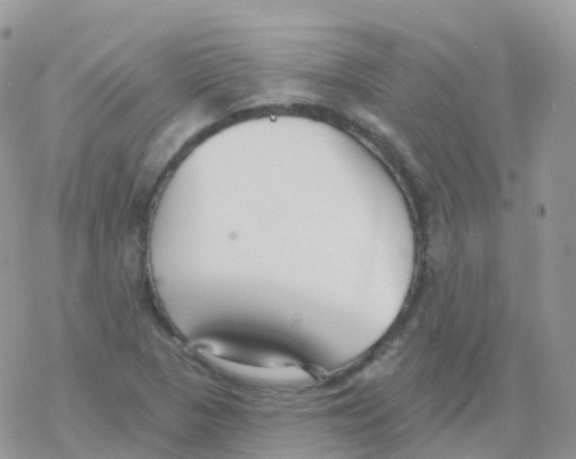 X0000078311313200611251523