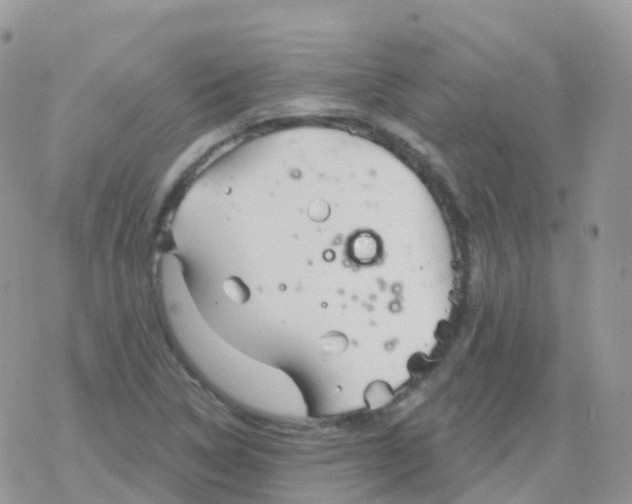 X0000078311314200611251523