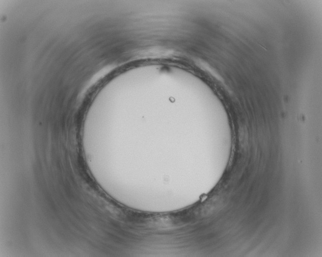 X0000078311315200611251523