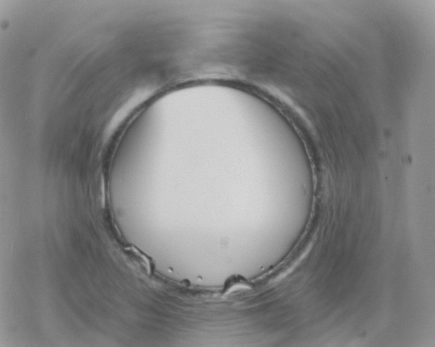 X0000078311317200611251523