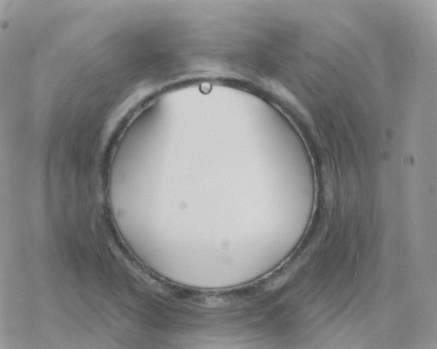 X0000078311318200611251523