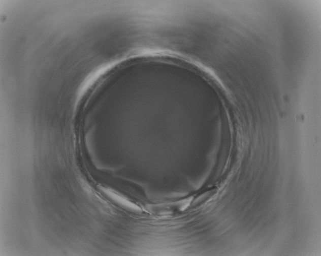 X0000078311319200611251523