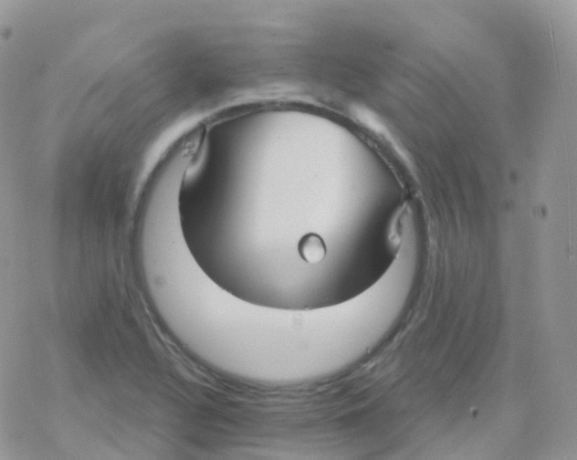 X0000078311320200611251523