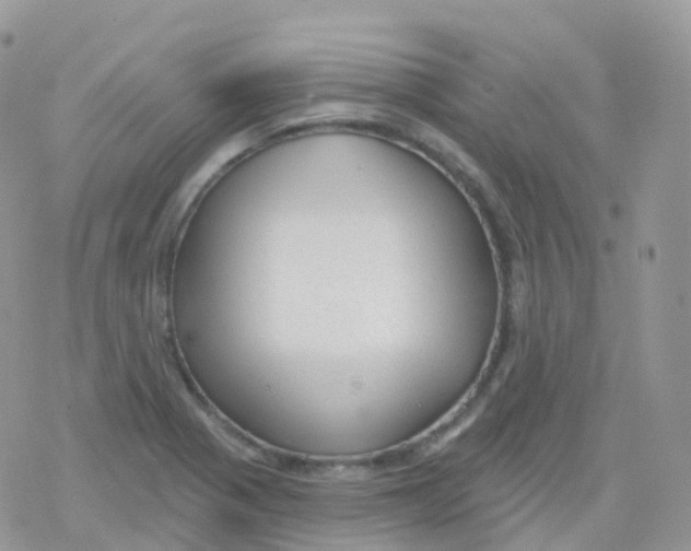 X0000078311321200611251524