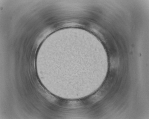 X0000078311322200611251524