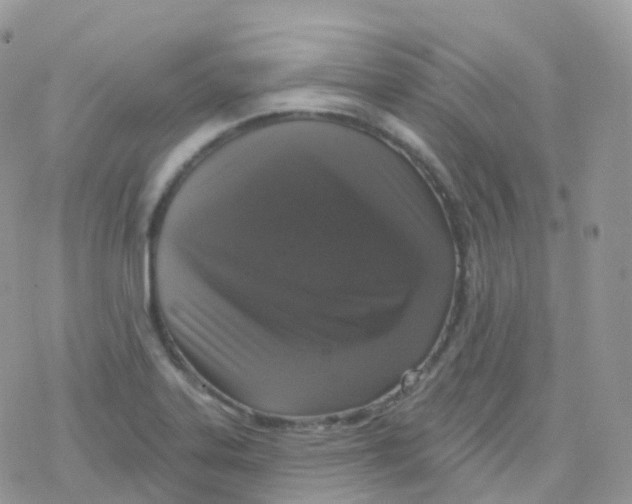 X0000078311323200611251524