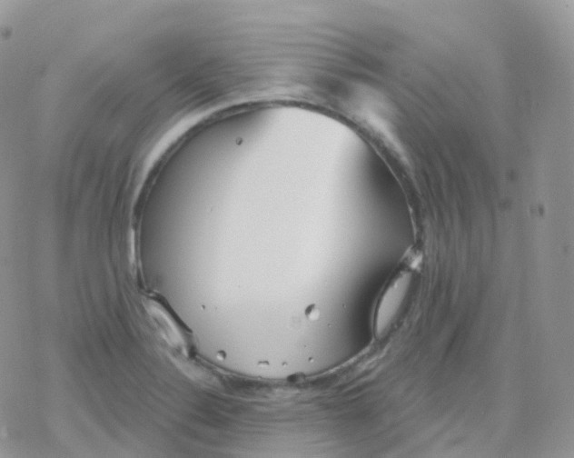 X0000078311324200611251524