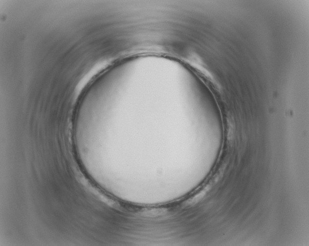 X0000078311325200611251524