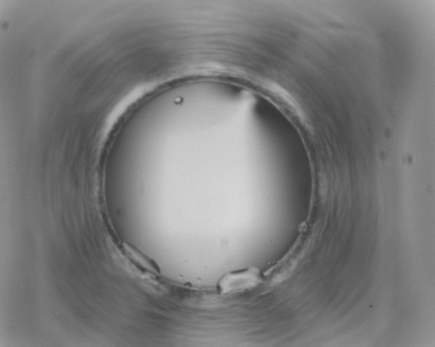 X0000078311326200611251524