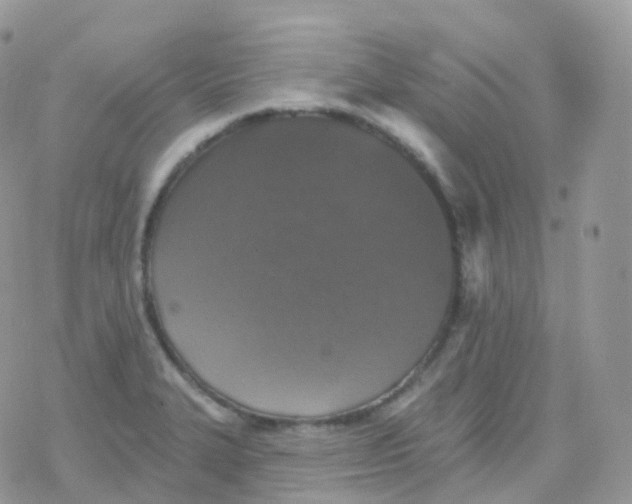 X0000078311327200611251524