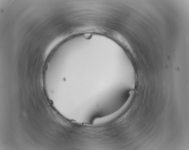 X0000078311328200611251524