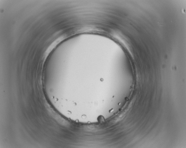 X0000078311330200611251524