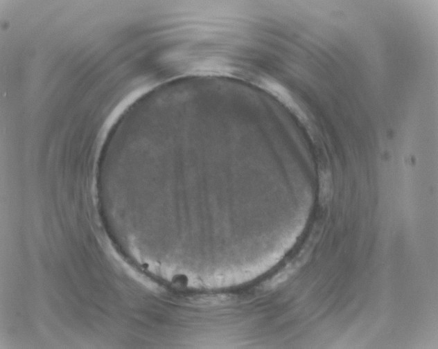 X0000078311331200611251524