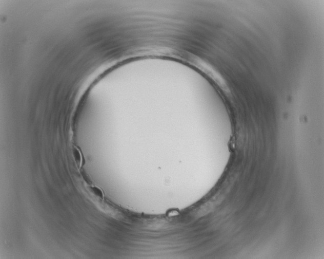 X0000078311332200611251524