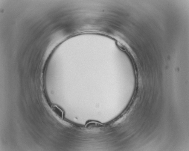 X0000078311333200611251524