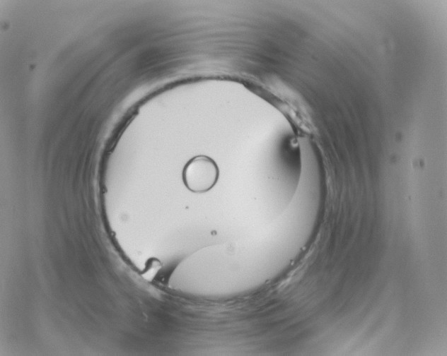 X0000078311334200611251524