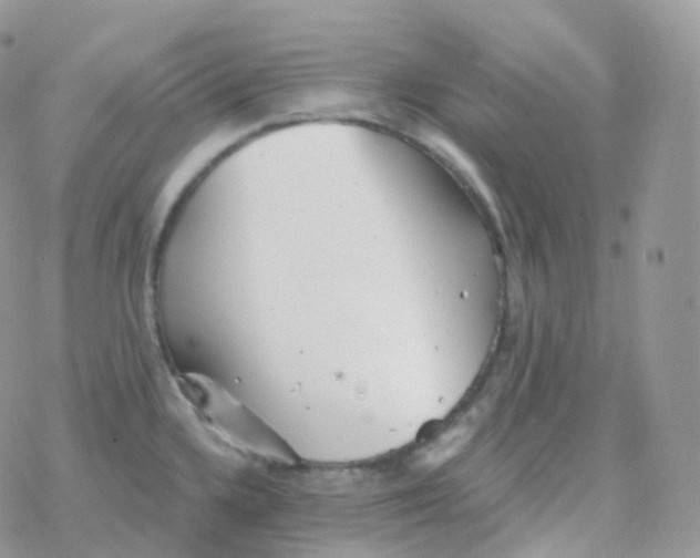 X0000078311336200611251524