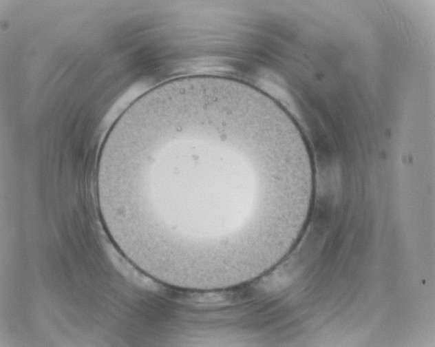 X0000078311338200611251524