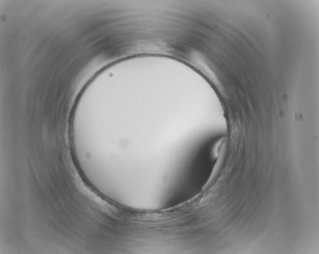 X0000078311339200611251524