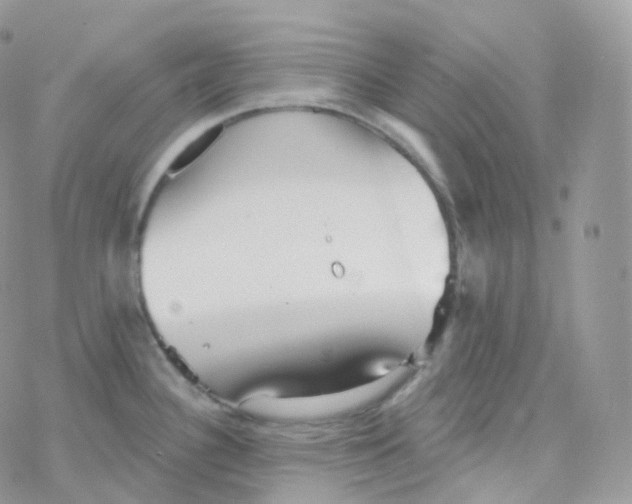 X0000078311340200611251524