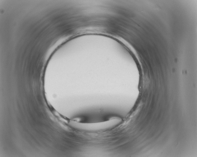 X0000078311341200611251524