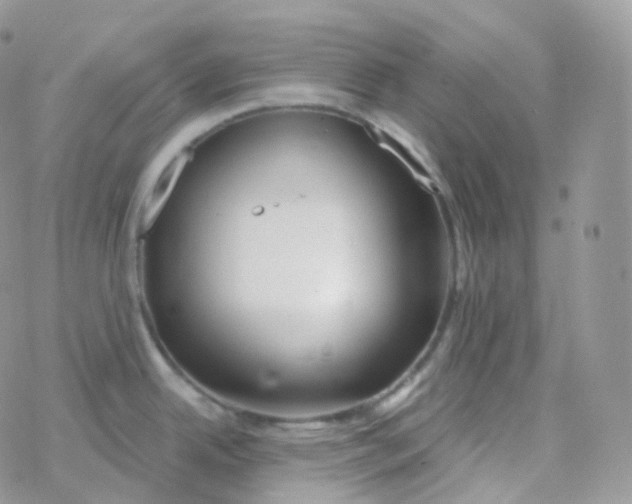 X0000078311342200611251524