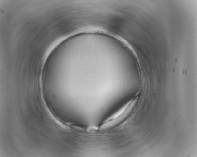 X0000078311343200611251524