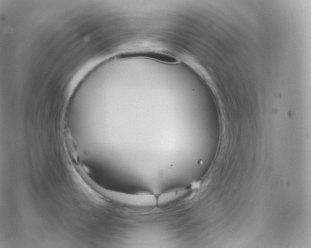 X0000078311344200611251524