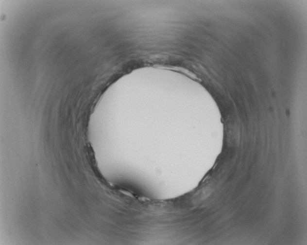 X0000078311345200611251523