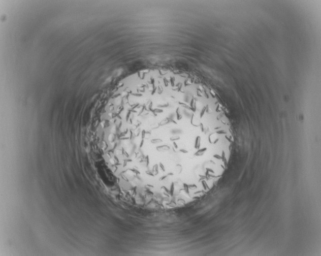 X0000078311346200611251523