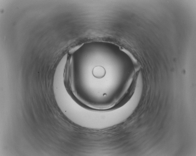 X0000078311348200611251523