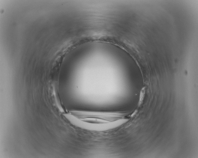 X0000078311349200611251523