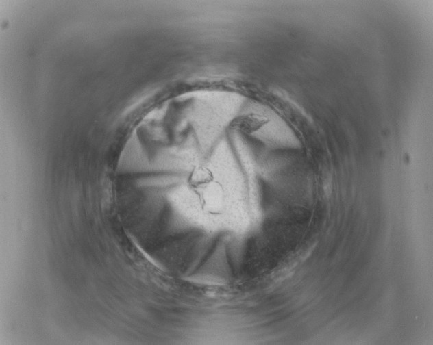 X0000078311350200611251523