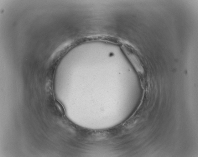 X0000078311351200611251523