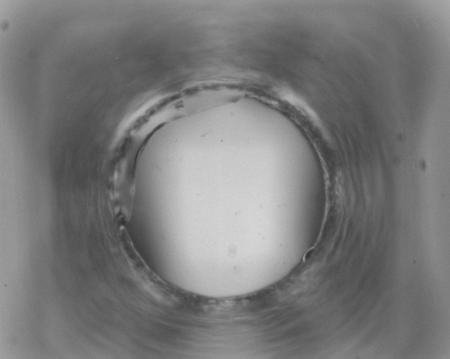 X0000078311352200611251523