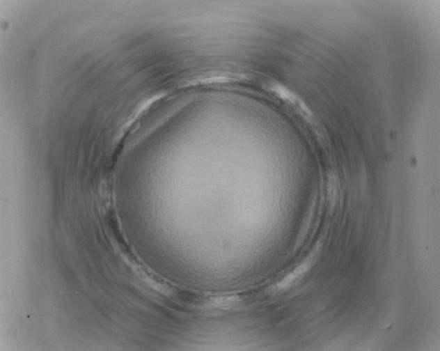 X0000078311353200611251523