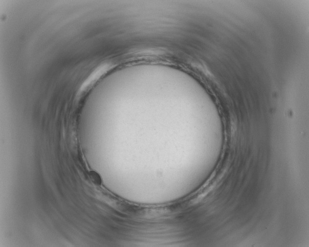 X0000078311354200611251523