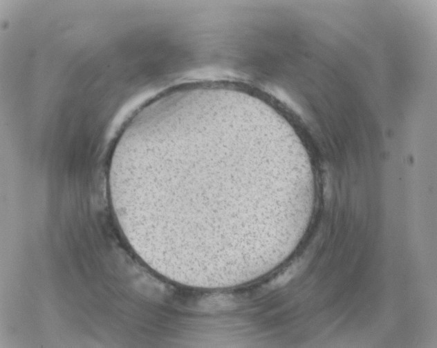 X0000078311358200611251523