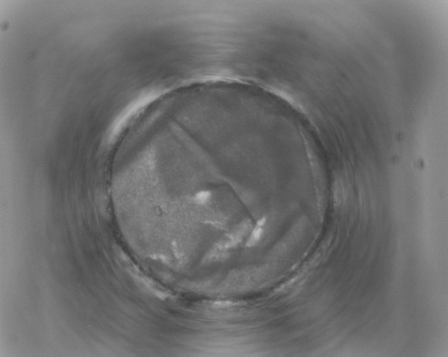 X0000078311359200611251523