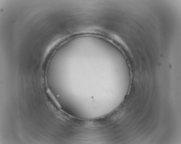 X0000078311360200611251523