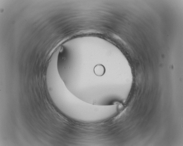 X0000078311361200611251523