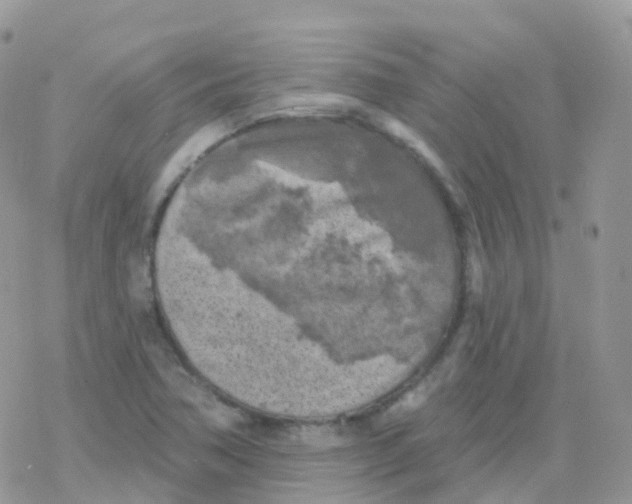 X0000078311362200611251523