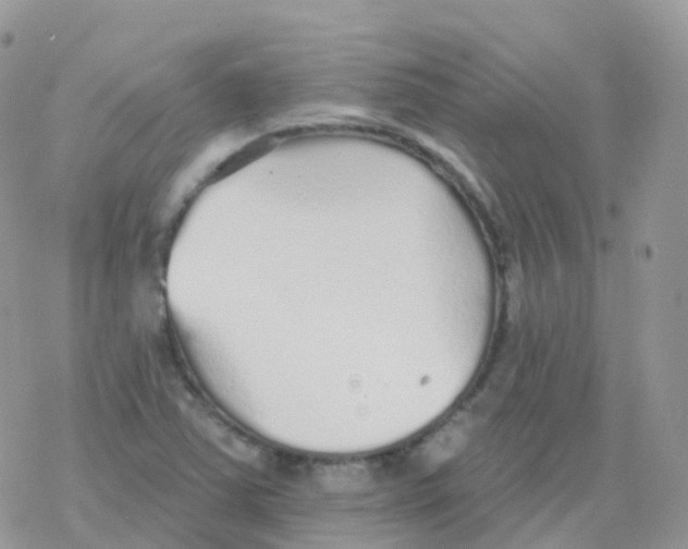 X0000078311363200611251523