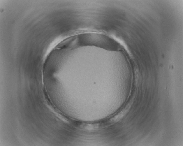 X0000078311365200611251523