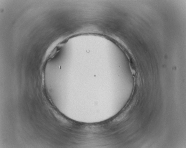 X0000078311366200611251523