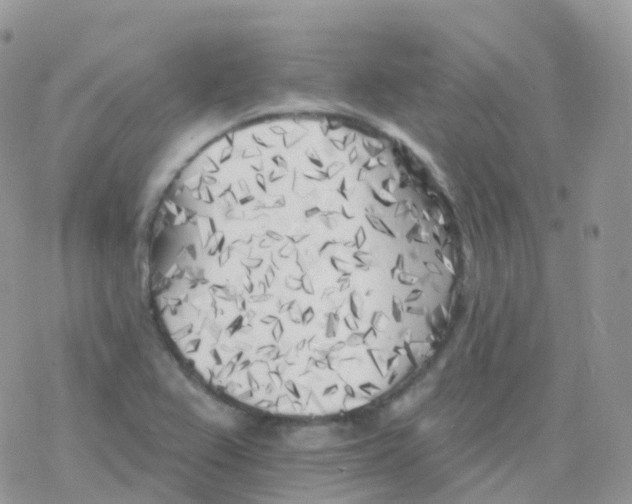 X0000078311367200611251523