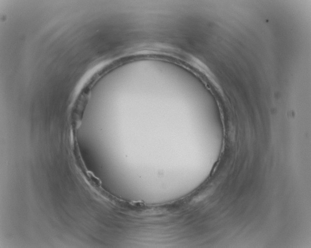 X0000078311368200611251523