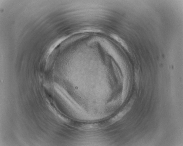 X0000078311369200611251523